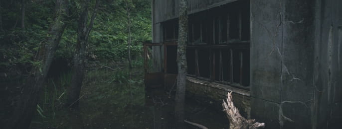 廃墟の森の中の静かな景色